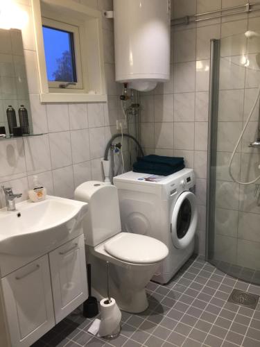 特罗尔海坦Larstorpsvägen 12的浴室配有卫生间、盥洗盆和洗衣机。