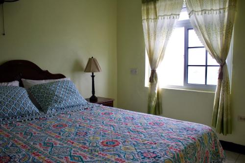BoscobelOcean Edge Villa的一间卧室设有一张床和一个窗口