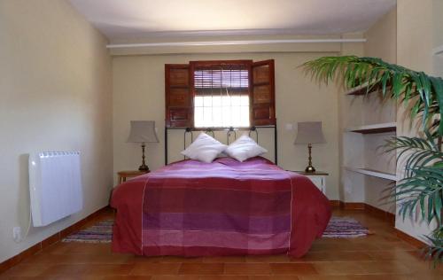 蒙特弗里奥B&B Lasnavillasmm的一间卧室配有一张带紫色毯子的床和窗户。
