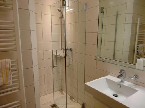 艾琴堡索勒霍夫酒店的带淋浴、盥洗盆和镜子的浴室