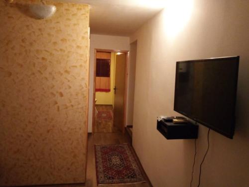 波德戈里察Apartments Popovic的墙上配有平面电视的房间