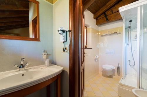 Mortegliano达南多酒店的一间带水槽、淋浴和卫生间的浴室