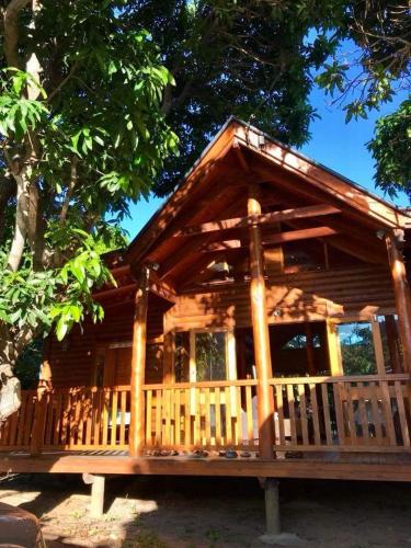 霍斯舒湾Mango Cottage的大型小木屋设有门廊和一棵树