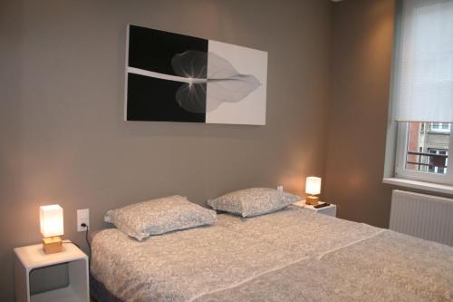 里尔Appt Hotel republique的一间卧室配有一张带两个枕头的床