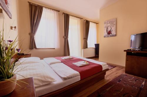 科马尔诺班德里姆酒店的一间卧室配有一张带红毯的床和一台电视