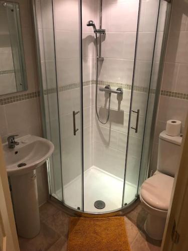 约克The Leeman Rose的带淋浴、卫生间和盥洗盆的浴室