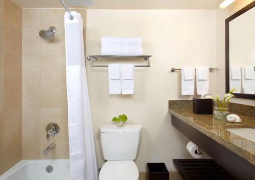 檀香山威基基海岸公园酒店的浴室配有卫生间、淋浴和盥洗盆。