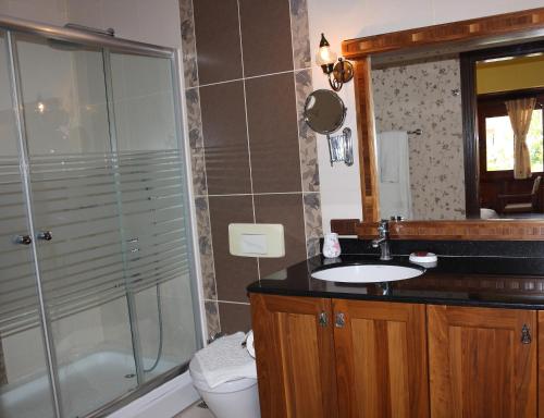 戈西克开贝尔戈西克酒店的带淋浴、盥洗盆和卫生间的浴室