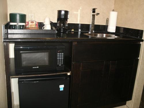 太平洋丛林罗斯代尔酒店的厨房柜台配有微波炉和水槽