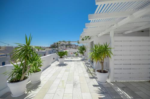 纳克索乔拉阿德里安尼酒店的白色建筑中种植盆栽的阳台