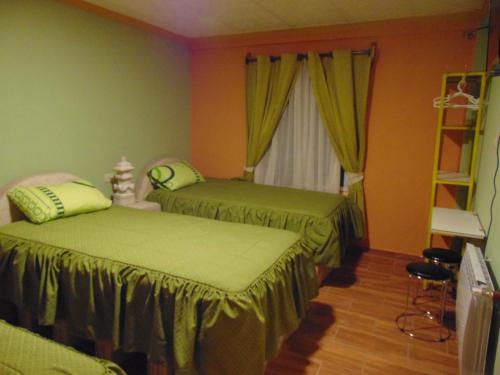 乌尤尼Eucalyptus Uyuni的一间卧室设有两张带绿床单的床和窗户。