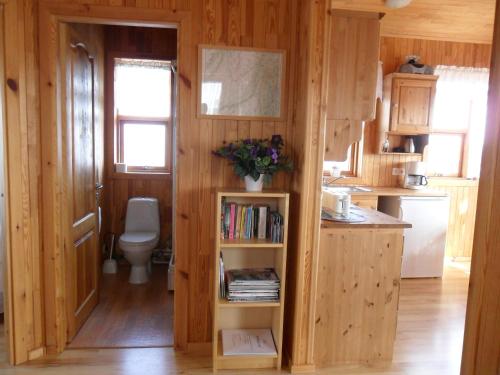 Lagarfljótsvirkjun埃克拉小屋酒店的客房内设有带水槽和卫生间的浴室