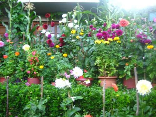 切佩洛沃格里斯旅馆的种满了各种花卉的花园