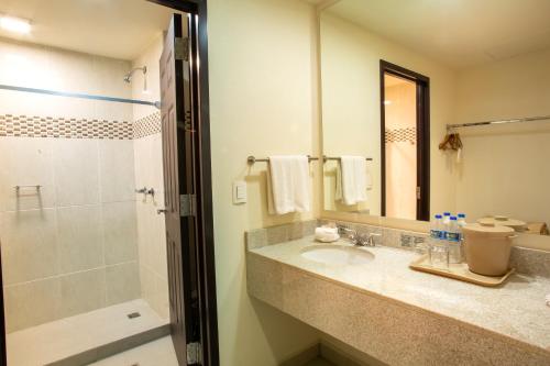 蒙特雷Hotel Plaza Calzada的一间带水槽和淋浴的浴室