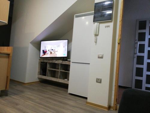 阿里纳加Apartamento la piedra viva 3 arinaga的电视室里的白色冰箱