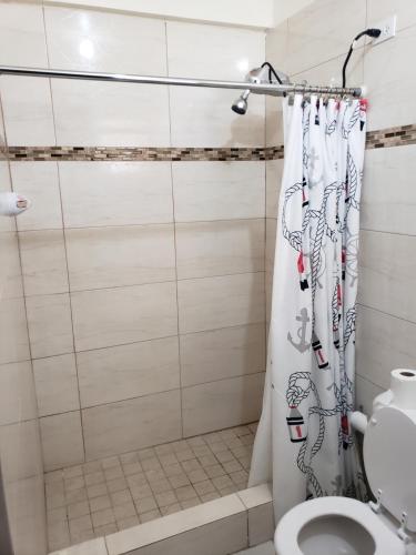 阿提约Jardin del Mar Guesthouse的带淋浴帘和卫生间的浴室