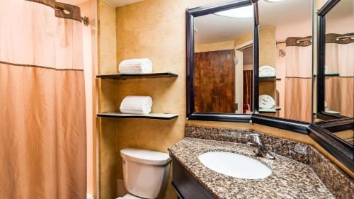 Massapequa Park酒吧港贝斯特韦斯特酒店的一间带水槽、卫生间和镜子的浴室