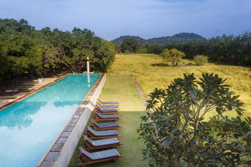 丹不拉Sigiriana Resort by Thilanka的相册照片