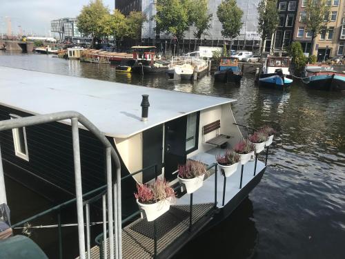 阿姆斯特丹Boat no Breakfast的船上有盆栽植物