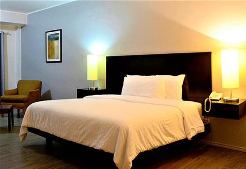 奇瓦瓦波萨达迪瑞布兰卡酒店的一间卧室配有一张大床、两盏灯和一部电话