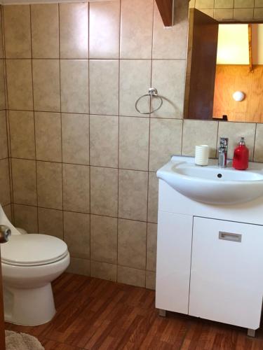 安加罗阿阿纳外拉帕努伊度假屋的一间带卫生间和水槽的浴室
