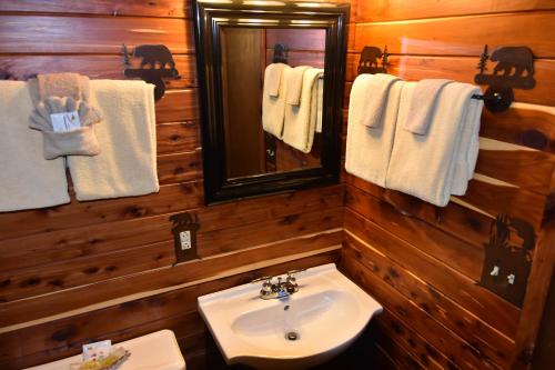 布兰森Alpine Lodge Resort的浴室配有盥洗盆、镜子和毛巾
