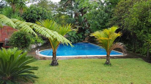 EshoweAfrican Dwarf Kingfisher Guesthouse的庭院内一座游泳池,两棵棕榈树