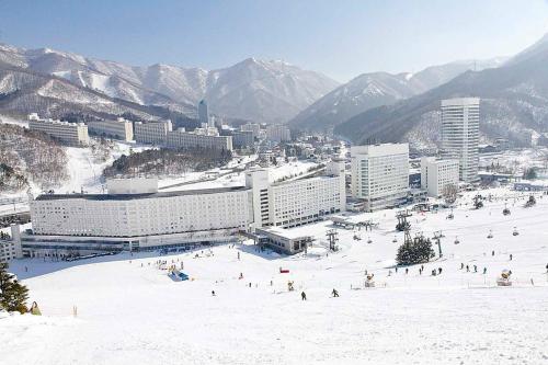 汤泽町Naeba Ski Resort & Fuji Rock的一群人,在雪地的滑雪场