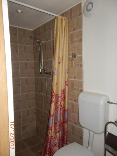 蒂米什瓦拉Apartament la casa (2 camere)的设有带卫生间的浴室内的淋浴帘
