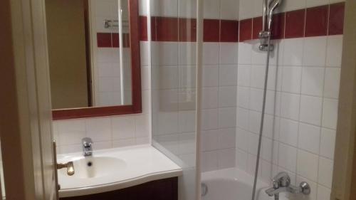 Uhart-CizeN101, parc d'arradoy-St J P de Port的浴室配有盥洗盆和带镜子的淋浴
