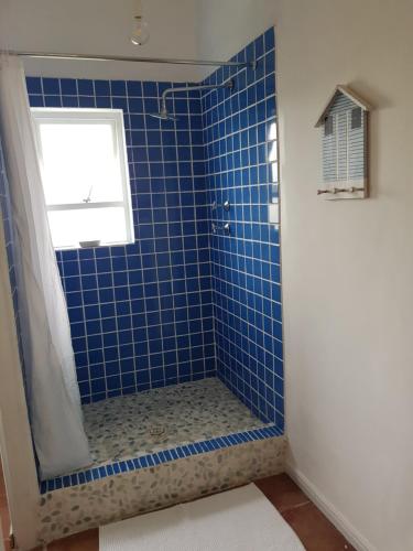 帕特诺斯特Mosselbank Beach Retreat的浴室设有蓝色瓷砖淋浴和窗户。