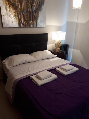 里奥夸尔托APART MAIPU 190的一间卧室配有一张大床和两条毛巾