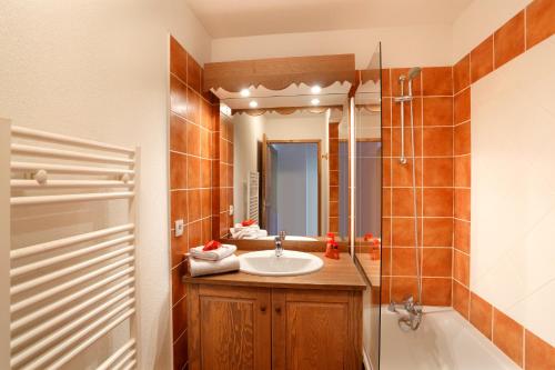 沙泰勒Résidence Néméa Le Grand Lodge的一间带水槽、浴缸和镜子的浴室