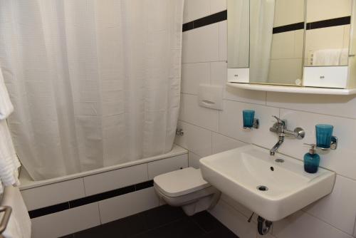 温特图尔托斯酒店的一间带水槽、卫生间和淋浴的浴室