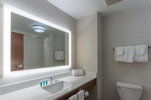 印第安纳波利斯印第安纳波利斯东南快捷假日酒店的一间带水槽、镜子和卫生间的浴室