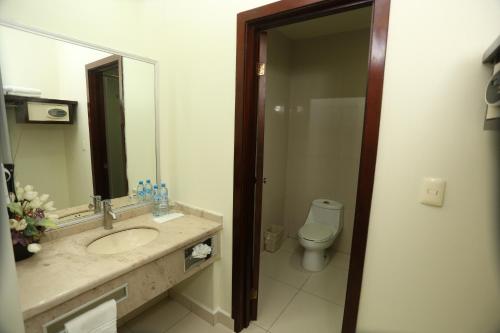 伊达尔戈州波萨里卡Hotel Marel的一间带水槽、卫生间和镜子的浴室