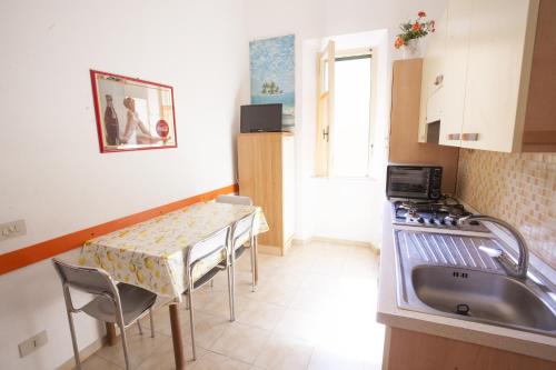 里奥马里纳Appartamenti Sole e Luna的一个带桌子和水槽的小厨房