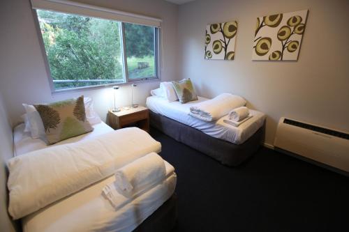洛恩洛恩豪华度假屋的客房设有两张床和窗户。
