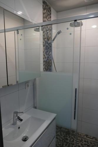 弗朗科尔尚L'Aubépine的一间带水槽和玻璃淋浴的浴室