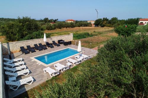 乌马格Apartments Villa Adamović的享有带躺椅的游泳池和游泳池的空中景致