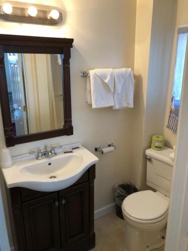 旧奥查德比奇Alouette Beach Resort Economy Rooms的一间带水槽、卫生间和镜子的浴室