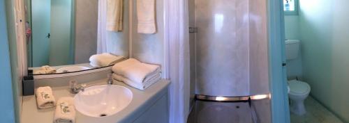 Owaka奥瓦卡汽车旅馆的一间带水槽和淋浴的浴室