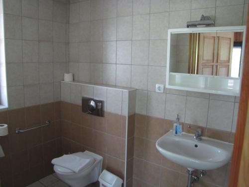 Dunabogdány赫尔罗德旅馆的一间带水槽、卫生间和镜子的浴室