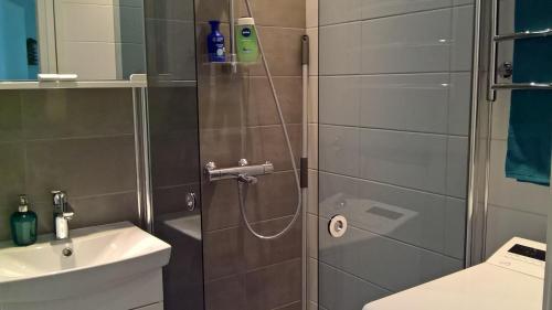 罗瓦涅米皮里克市中心公寓的带淋浴和盥洗盆的浴室