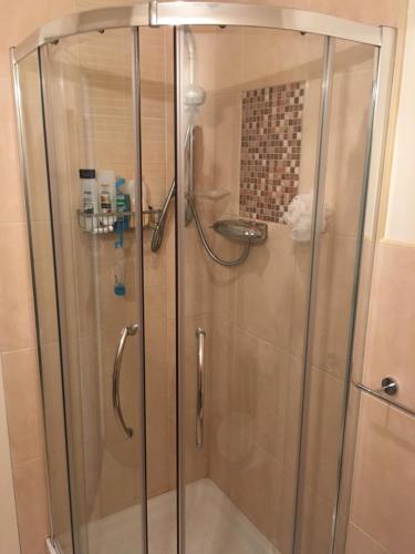 恩尼斯基林Silverhill House Apartment的浴室里设有玻璃门淋浴