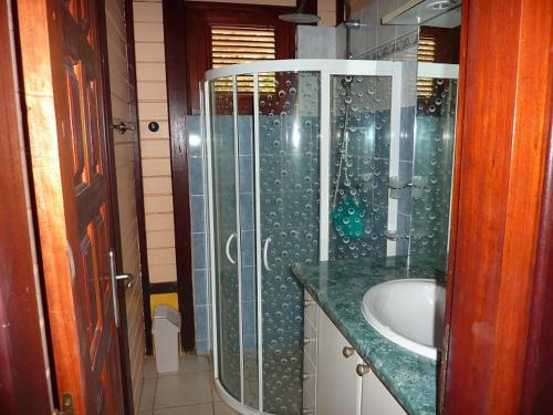 德赛résidence la pointe marine的一间带玻璃淋浴和水槽的浴室