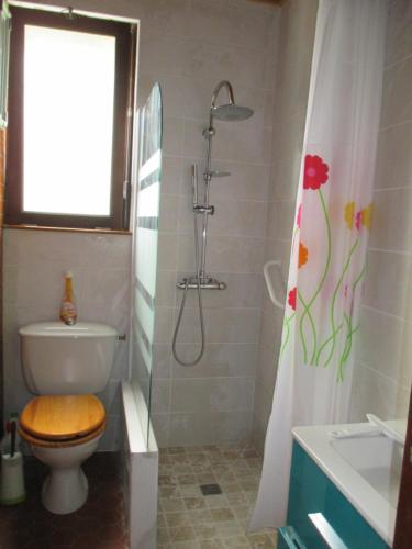 Habas基特哈巴斯酒店的一间带卫生间和淋浴的浴室