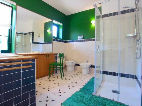StaranzanoSocietà Agricola La Staccionata的一间带绿色墙壁、淋浴和卫生间的浴室