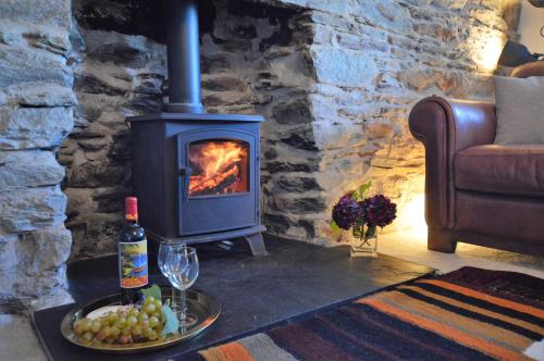泰纳布鲁厄赫Gate Cottage的客厅里的燃木炉子和一瓶葡萄酒