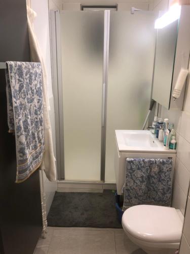苏黎世Homestay Zürich HB Room的带淋浴、卫生间和盥洗盆的浴室